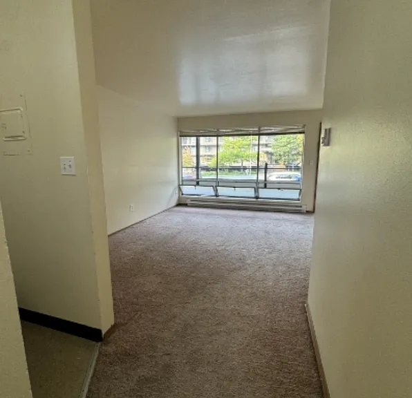 4119 11th Ave NE #1007 — Photo 6