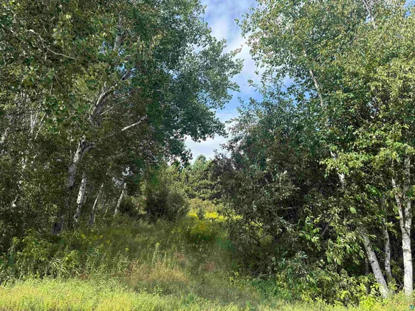 5 Evelyn St, Esko, MN 55733