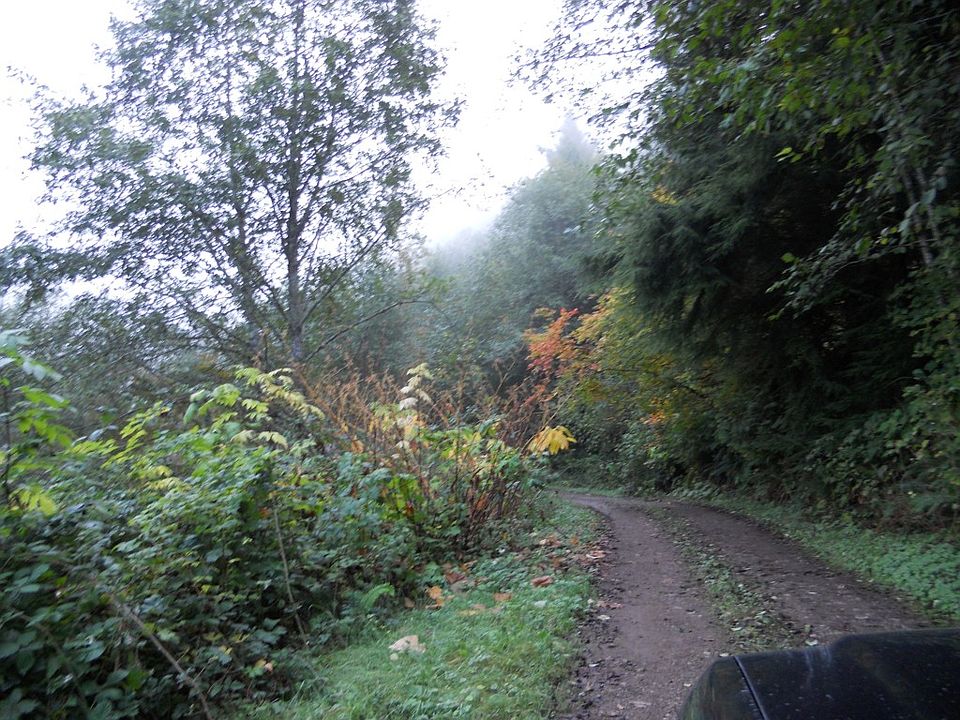 2nd image of 150 Coyote Canyon Rd