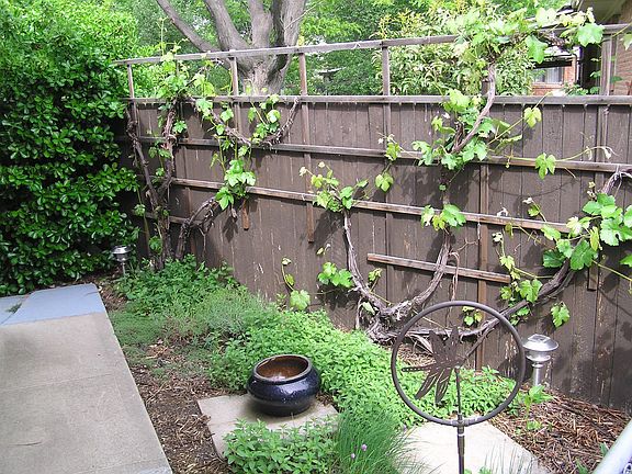 Herb garden 