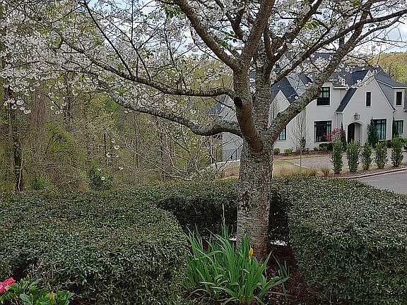 View from front steps