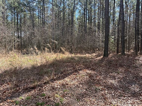3rd image of 0 E Hurleys Neck Rd