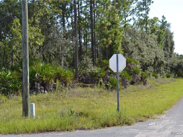 6030 N Maroon Way, Beverly Hills, FL 34465