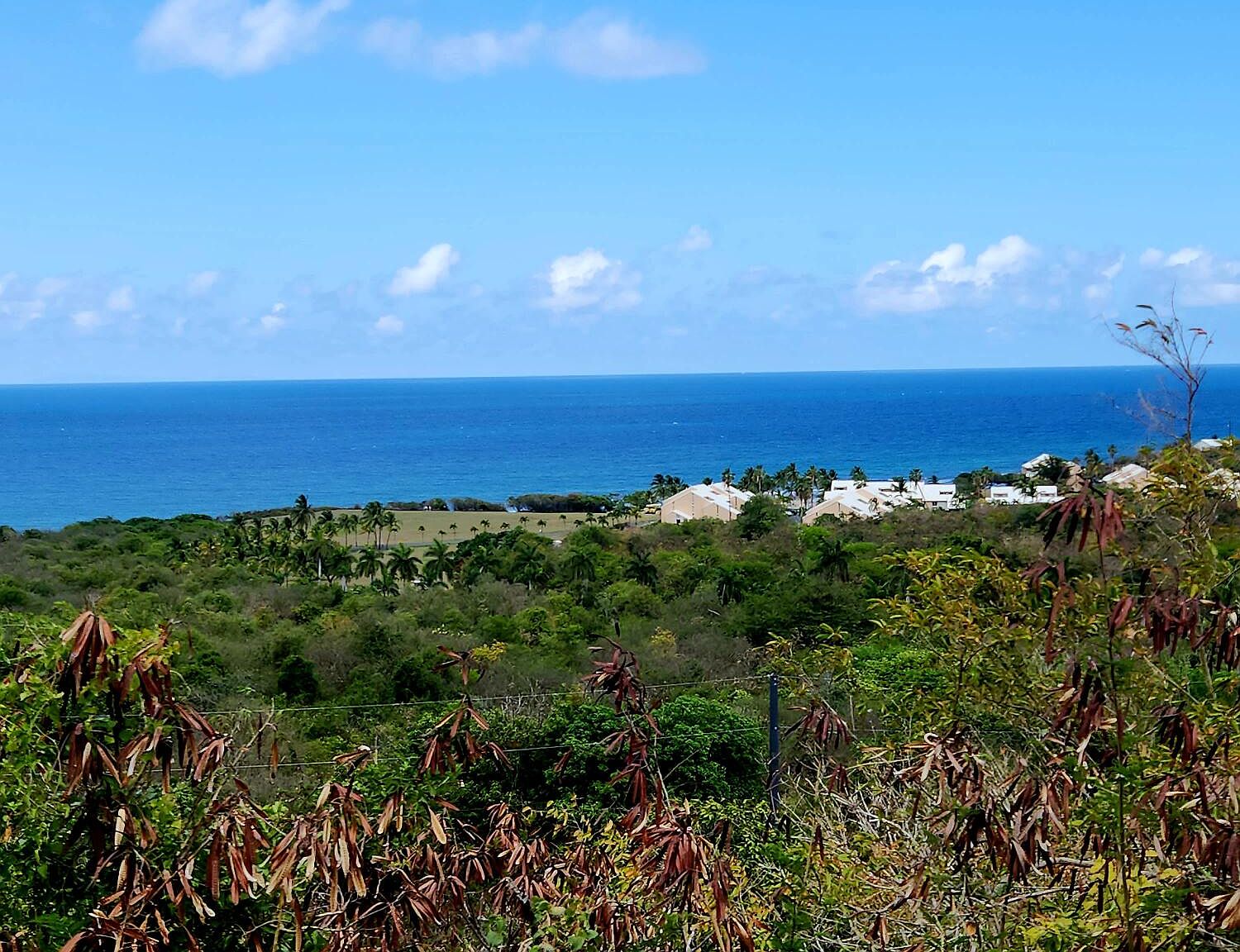 73 Salt River NB, Christiansted, VI 00820 MLS 23704 Zillow