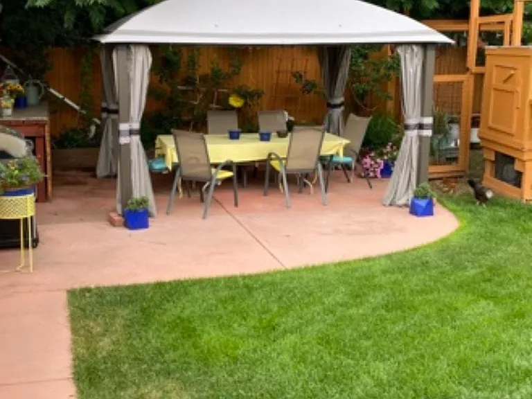 Back Patio