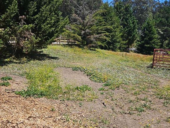 2nd image of 603 Carpenteria Rd