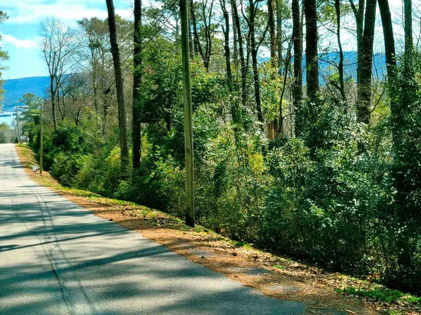 7 Richardson St, Guntersville, AL 35976