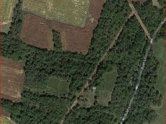 4th image of 281 Bush Ln