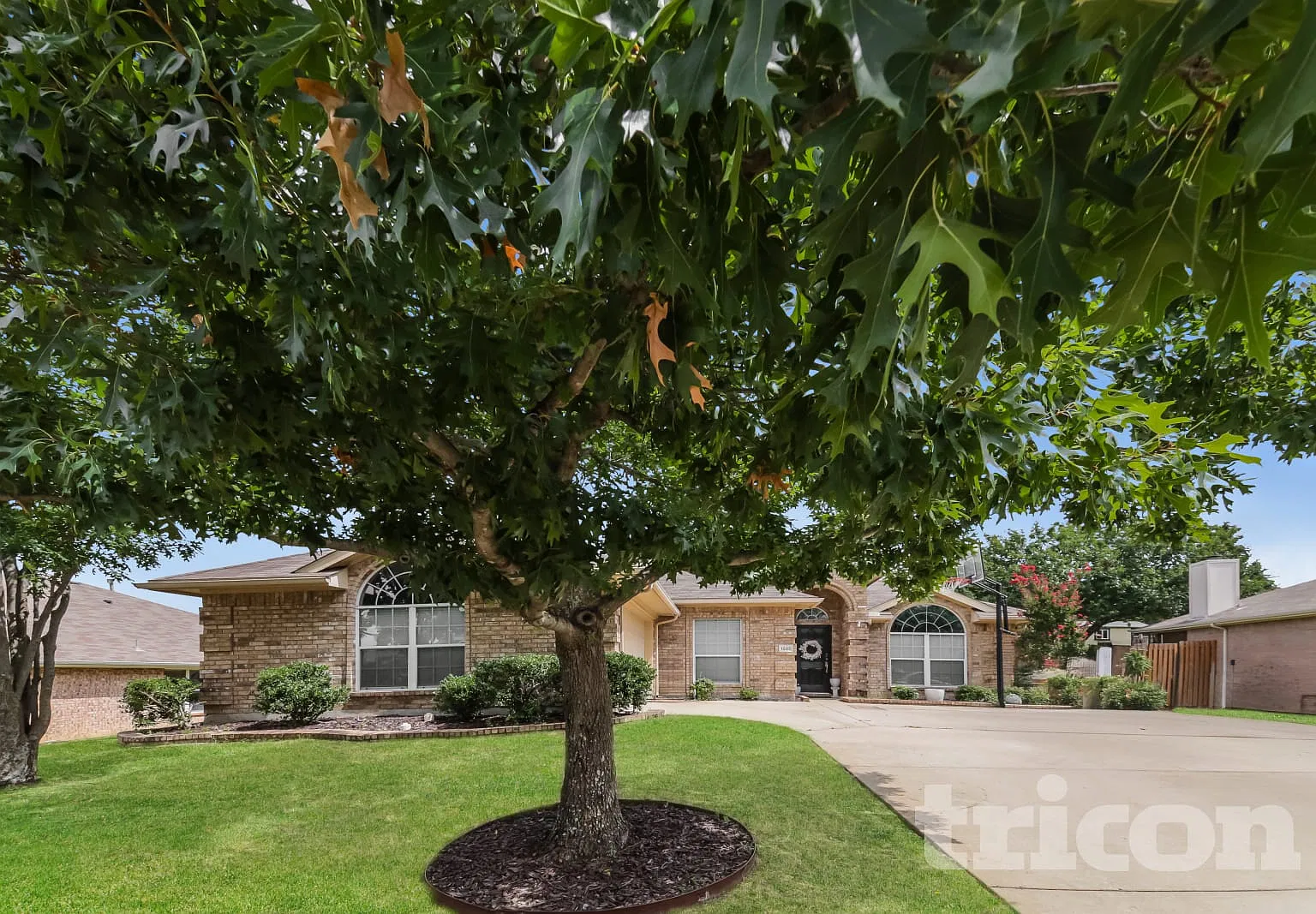 1505 Avonlea Drive Rockwall TX — Photo 1