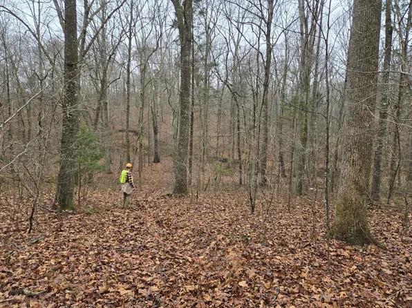 0 Swor Still Rd, Buchanan, TN 38222