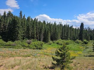 1164 Arapahoe Creek Trail, Florissant, CO 80816