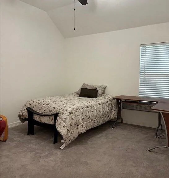 3818 Treasure Island Dr — Photo 9
