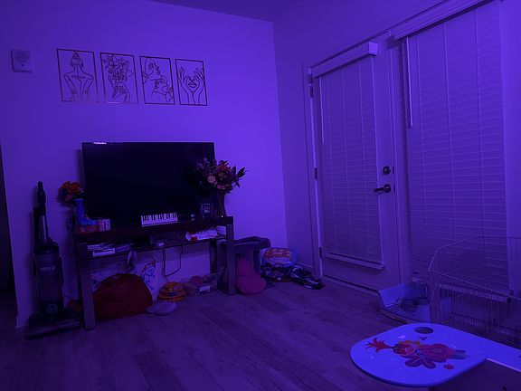 Living room/balcony entrance