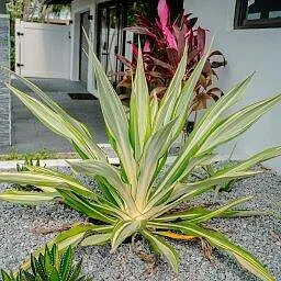 2506 Bimini Ln — Photo 41