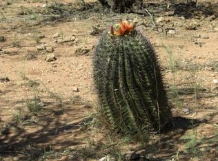 22 Calle Dinamarca, Rio Rico, AZ 85648