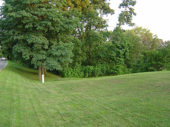 Property goes past treeline