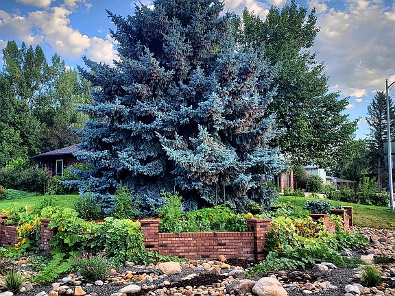 Organic Garden Beds and Front Yard Landscaping