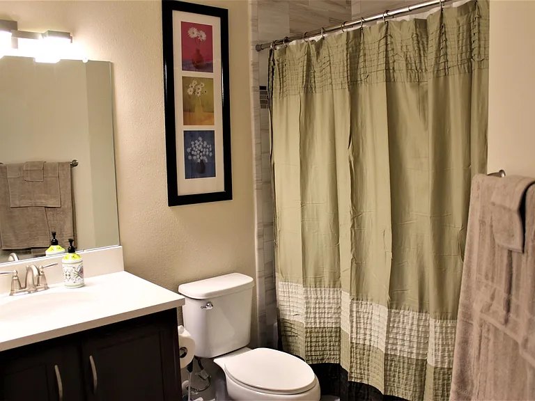 Guest bathroom