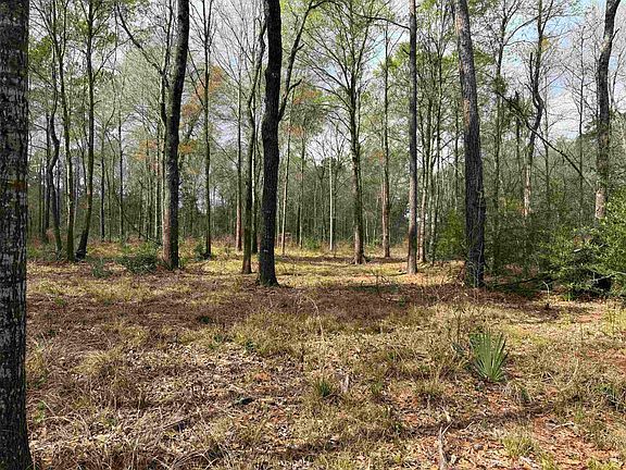 2nd image of 325 Jennings Rd #2