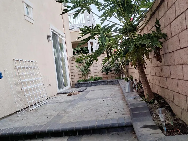 Low maintenance yard