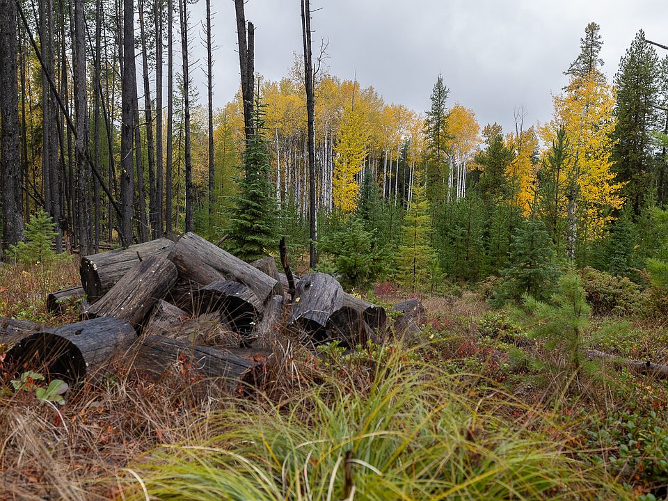 100th image of this home