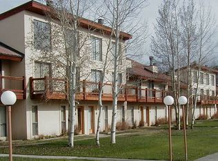 2 Elcho Ave APT 2, Crested Butte, CO 81224