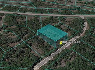 Bald Eagle, Horseshoe bay, TX 78657