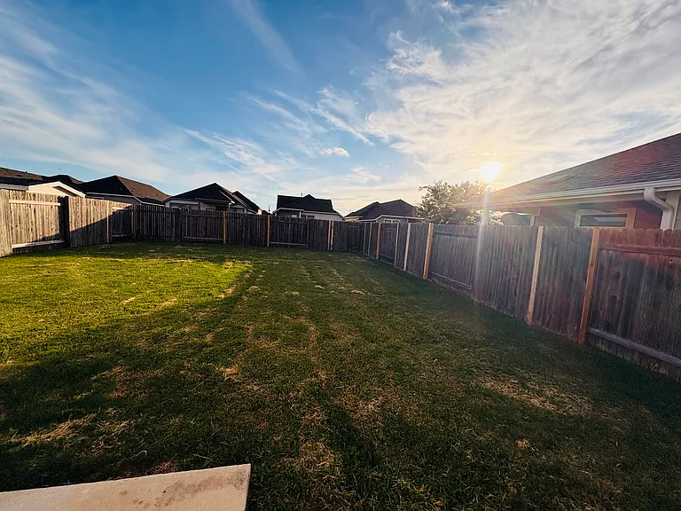 Backyard