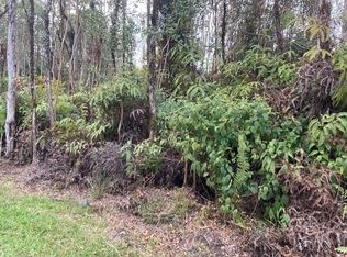 Ulei St LOT 36, Mountain View, HI 96771
