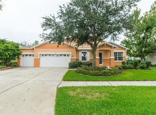 5408 Hammock View Ln, Apollo Beach, FL 33572