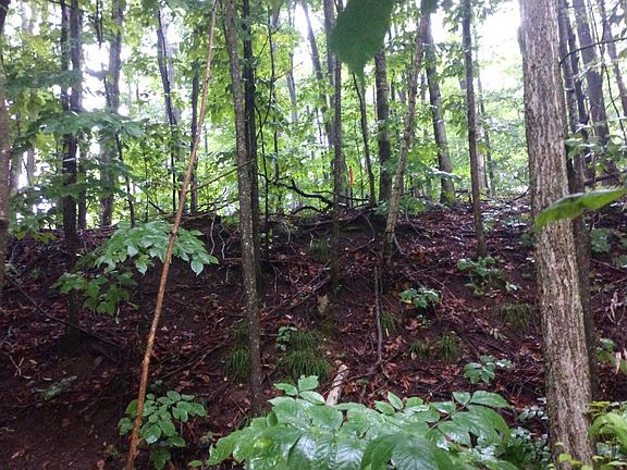 4th image of 10477 W Munro Lake Dr #&-50