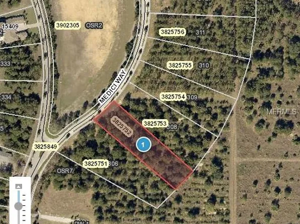 17006 Medici Way, Montverde, FL 34756