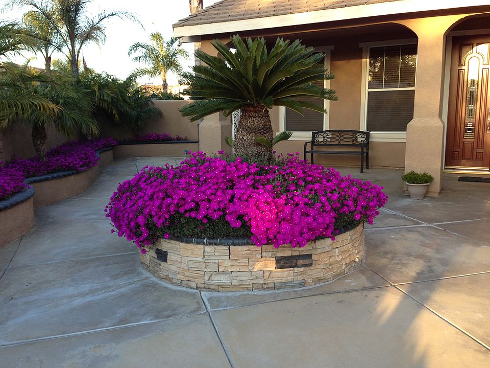 Front Courtyard