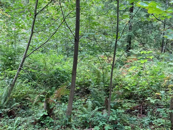 191 N Dow Mountain Road, Hoodsport, WA 98548