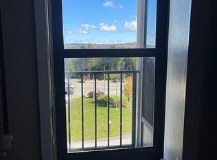 5309 Silver Creek Dr, Snowshoe, WV 26209