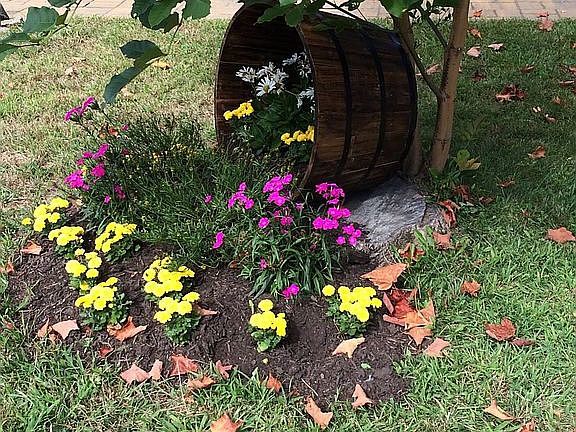 front yard