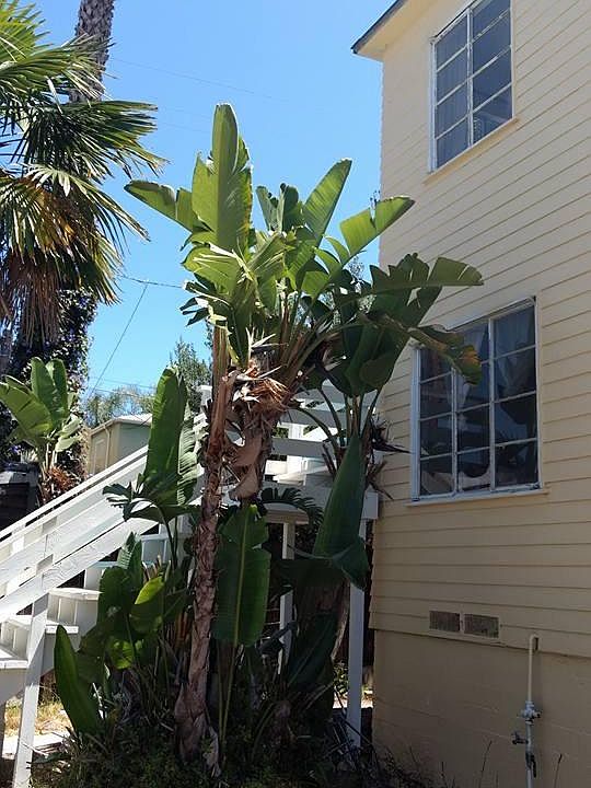 1st image of 4219 1/2 Alabama St