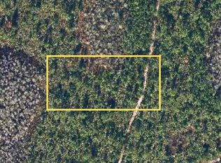 Dill Rd LOT 610, Christmas, FL 32709