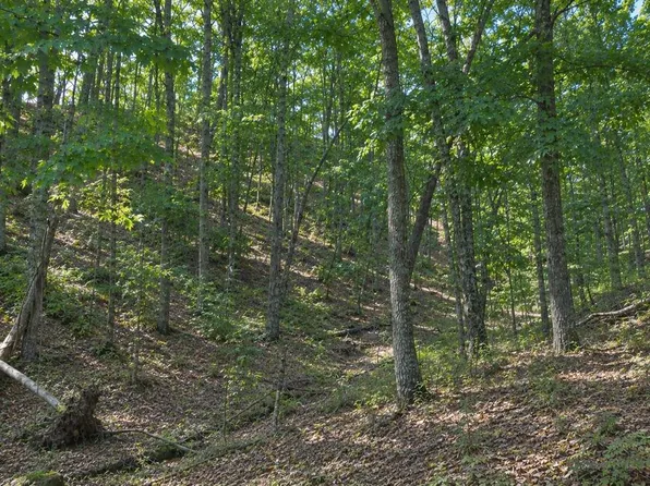 Reynolds Ridge Rd, Bandy, VA 24602