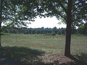 1st image of 3173 County Road 3411