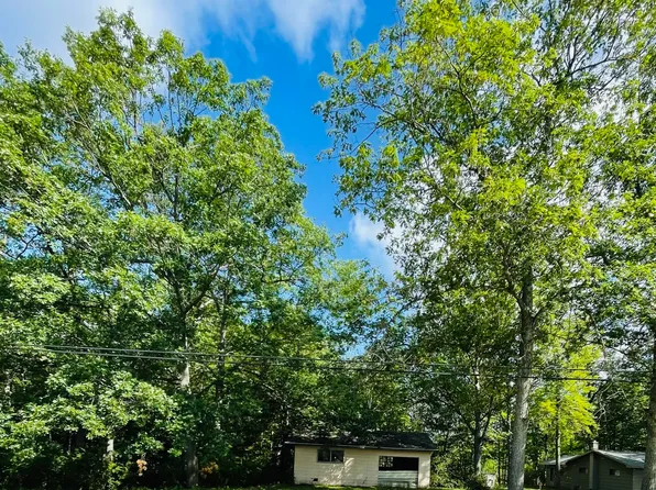 22450 Lake Avalon Rd, Hillman, MI 49746