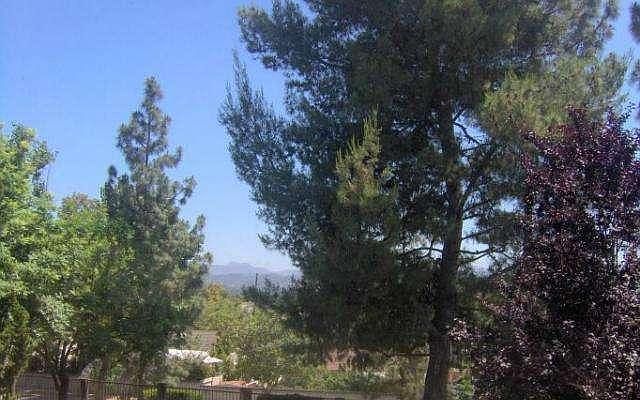 1st image of 2891 Moonflower Cir #60