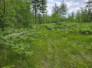 McWilliams Lake Rd, Hawks, MI 49743