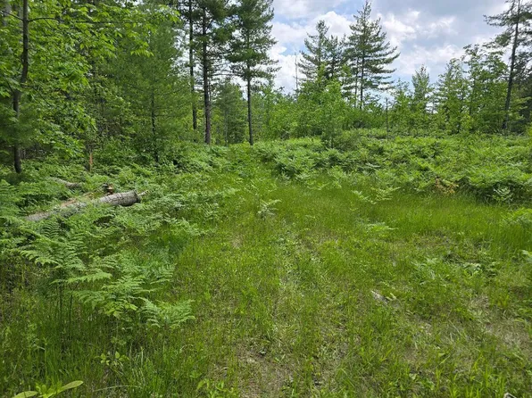 McWilliams Lake Rd, Hawks, MI 49743