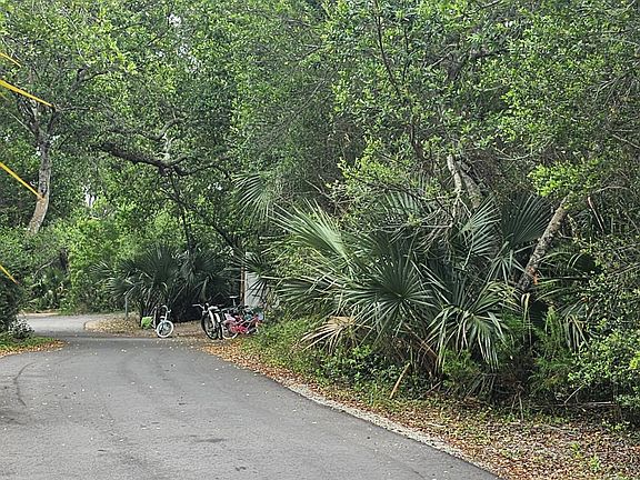 3rd image of 619 Wash Woods Way LOT 5116