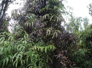 LOT 7975th, Mountain View, HI 96771