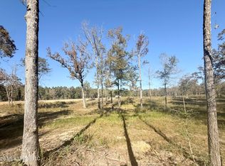 2042 Ceasar Trl, Bogue Chitto, MS 39629