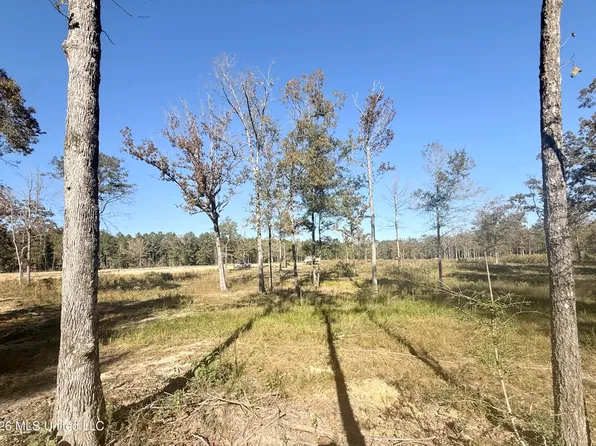 2042 Ceasar Trl, Bogue Chitto, MS 39629