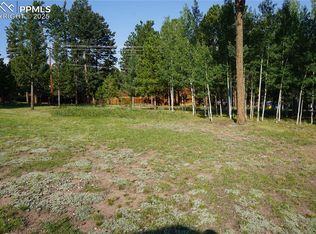 W Bowman Ave, Woodland Park, CO 80863