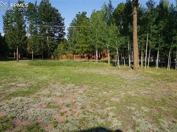 W Bowman Ave, Woodland Park, CO 80863